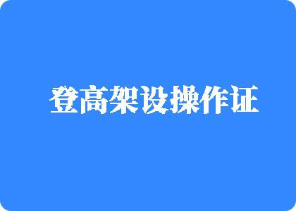 日日骚网日韩登高架设操作证